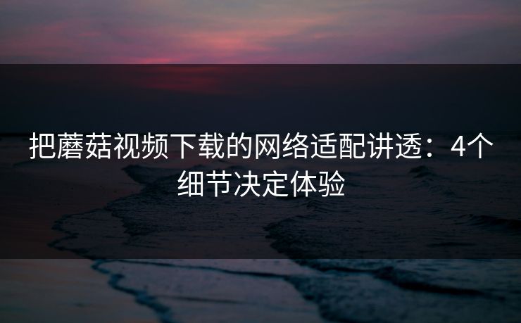 把蘑菇视频下载的网络适配讲透：4个细节决定体验