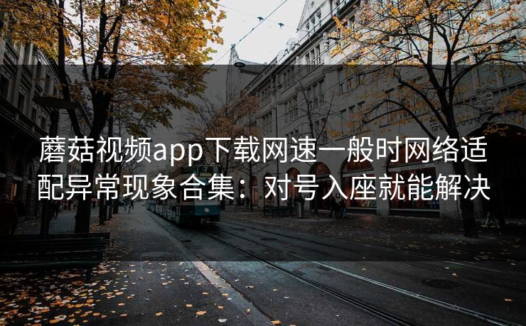 蘑菇视频app下载网速一般时网络适配异常现象合集：对号入座就能解决