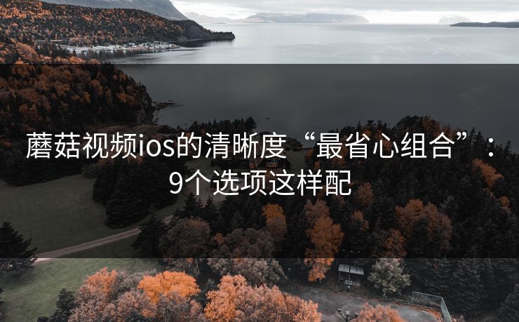 蘑菇视频ios的清晰度“最省心组合”:9个选项这样配 第1张 蘑菇视频ios的清晰度“最省心组合”:9个选项这样配 第1张