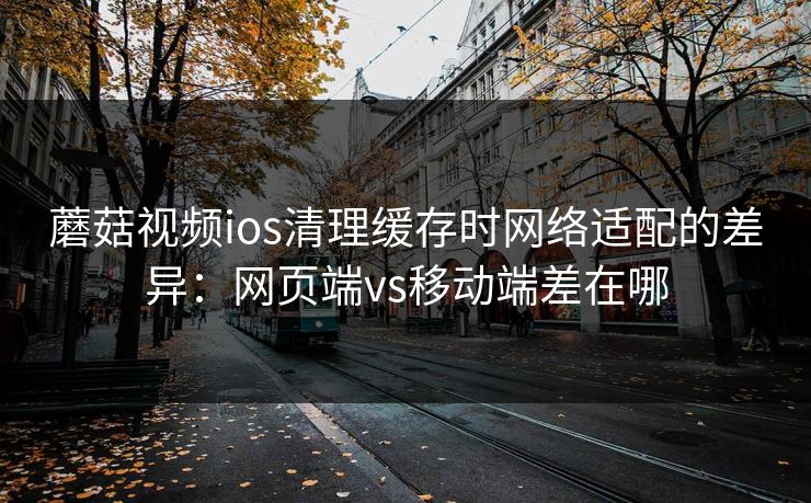 蘑菇视频ios清理缓存时网络适配的差异：网页端vs移动端差在哪